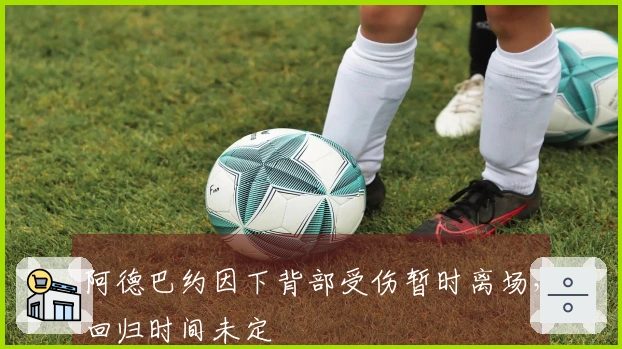阿德巴约因下背部受伤暂时离场，回归时间未定